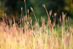 Est et in perspiciatis non